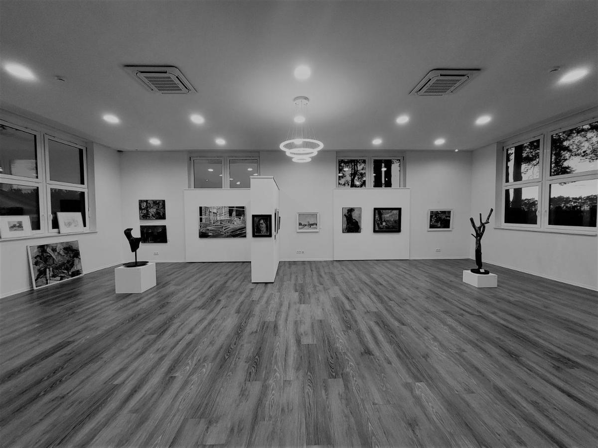 Art & Galerie Hotel Lenz Plauer See Fuenfseen エクステリア 写真